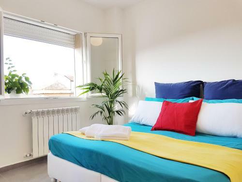 Apartamento Il Gallo Rosso