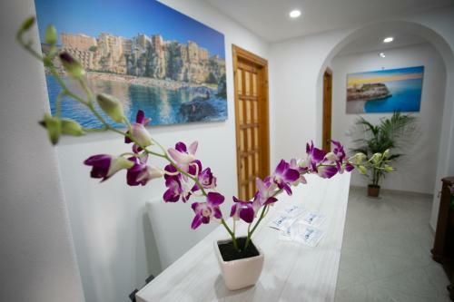 B&B Leonida