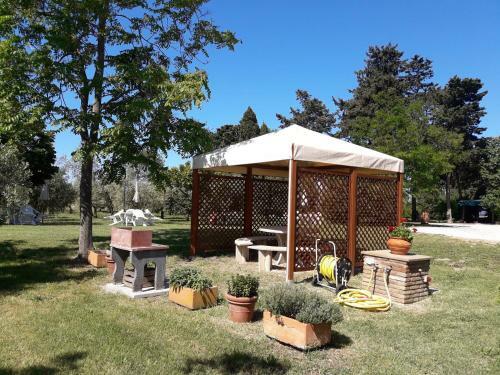 Agroturismo Agriturismo Il Pescinone