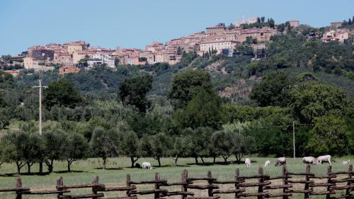 Agroturismo Agriturismo Il Pescinone