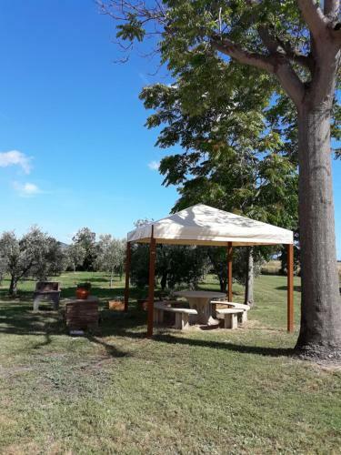 Agroturismo Agriturismo Il Pescinone