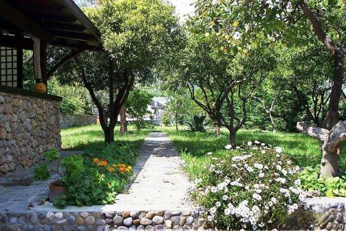 Bed & Breakfast La Tana Del Tasso Ventimiglia