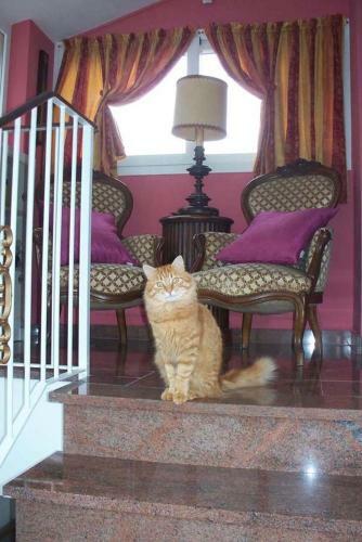 Bed & Breakfast La Tana Del Tasso Ventimiglia
