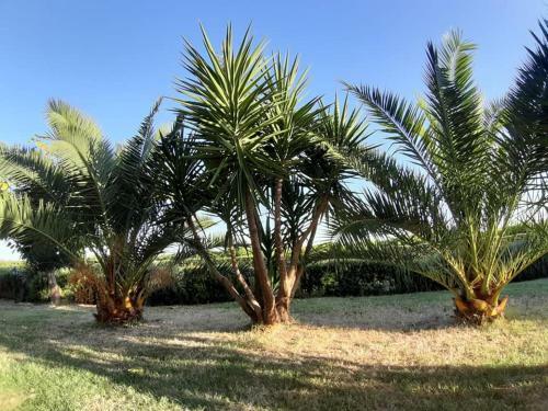 Bed & Breakfast Villa Martina