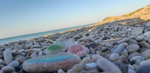 Bed & Breakfast Villa Martina