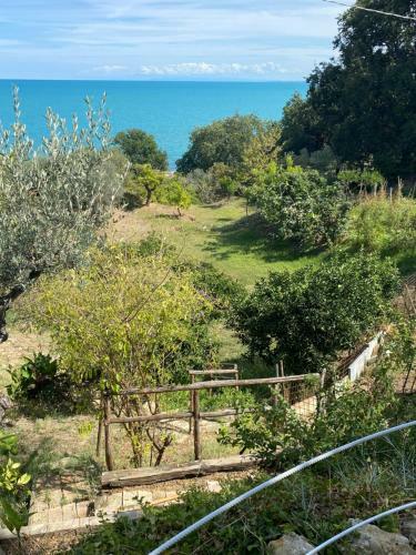 La Casetta Di Olga