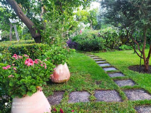 Hostal Casa Natura E Relax