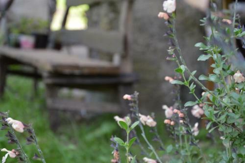 Agroturismo Countryrooms Valchiusella