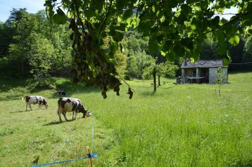 Agroturismo Countryrooms Valchiusella