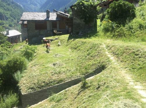 Bed & Breakfast Casa Petit Paradis