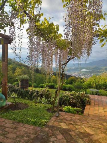 Magic View