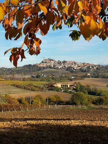 Bed & Breakfast Belcasale