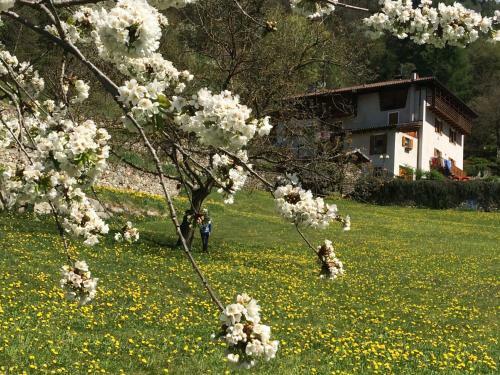 Bed & Breakfast Maso Zont