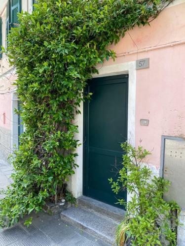Hostal Camere Nicolina 4