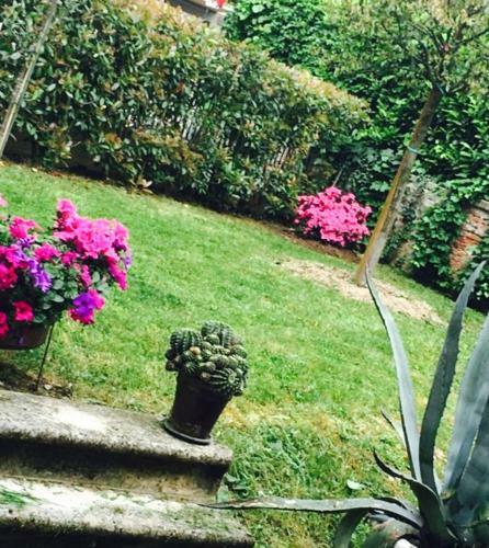 Apartamento Papere E Tulipani