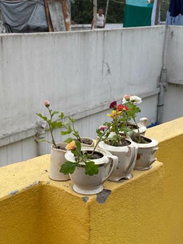 Bhubanbari Chrysalis 3 Bedroom Terrace Apartment