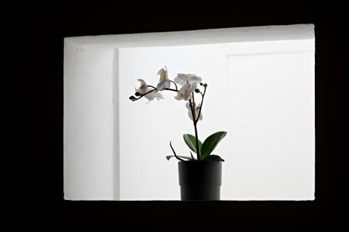 Apartamento Glamour