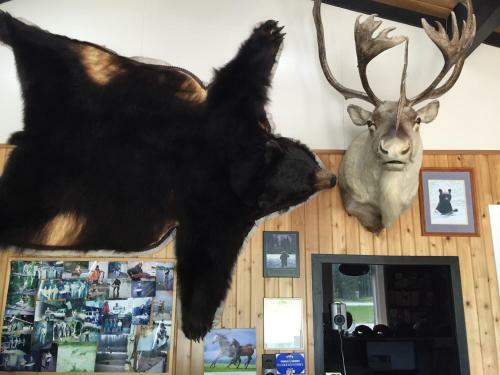 Copper River Motel