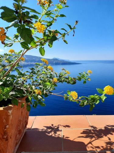 Bella Vista House-sorrento Coast