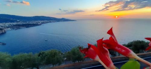 Bella Vista House-sorrento Coast