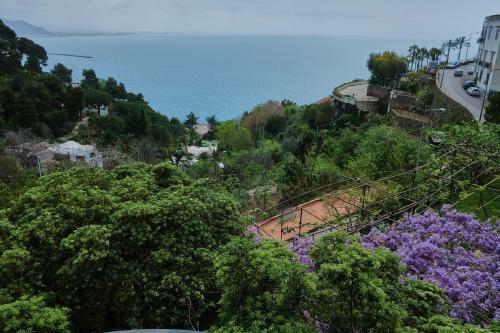 Apartamento Domus Antonina