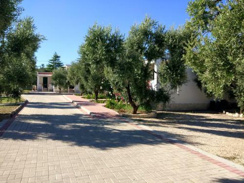 Tenuta Montincello