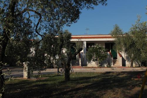 Tenuta Montincello