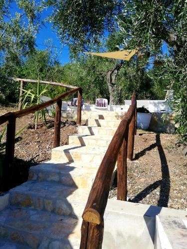 B&B Borgo Degli Ulivi