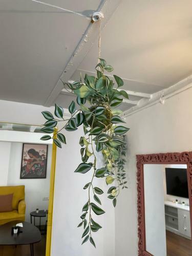 Apartamento Samuel