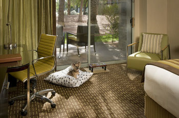 Hotel Hyatt Regency Gainey Ranch