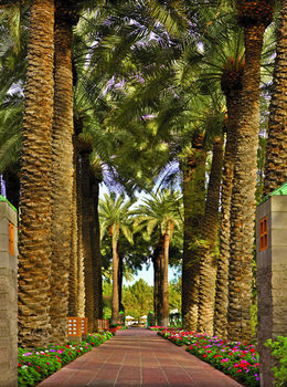 Hotel Hyatt Regency Gainey Ranch