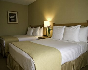 Hotel Best Western Airport Executel