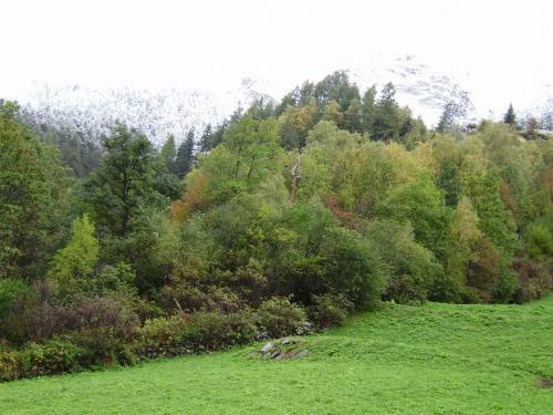 Hostal Haus Alpengl�hn