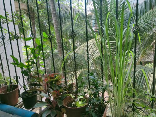 Lovely 1 Bedroom Rental Unit On Carter Road