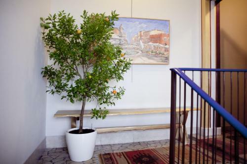 Apartamento Il Garofano Rosa