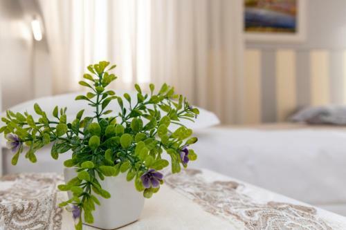 B&B Accademia