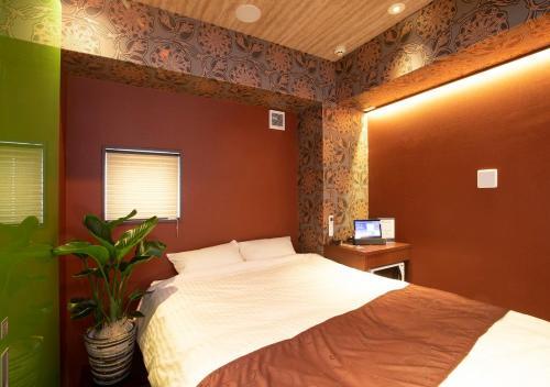 Hotel Xcell ?? ????