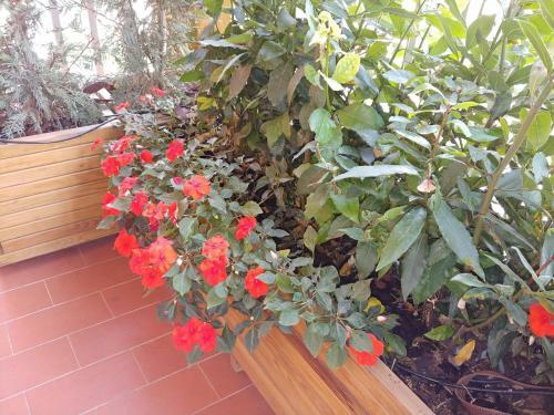 Apartamento 'la Quercia' Top Floor Flat