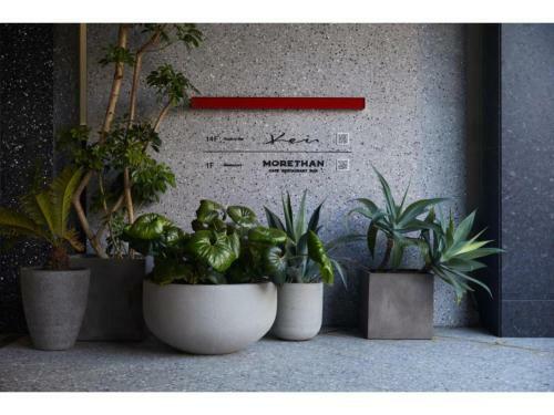 Hotel The Knot Hiroshima - Vacation Stay 48551v