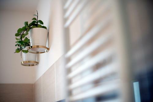 Apartamento Be&be Verona Eat Sleep Love