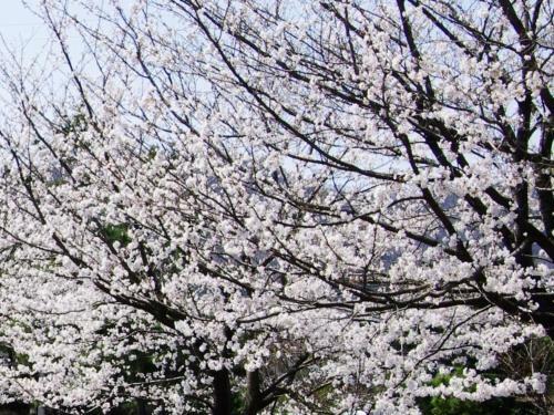 Hotel Kunitomi Annex - Vacation Stay 12078v
