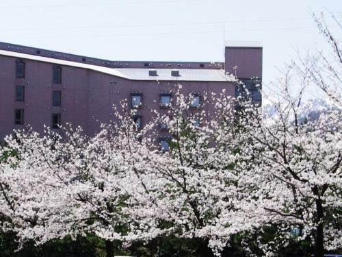 Hotel Kunitomi Annex - Vacation Stay 12078v