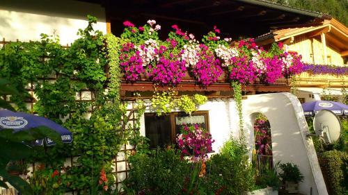 Apartamento Haus Alex