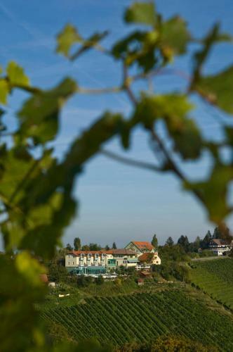 Weinwellnesshotel Kappel