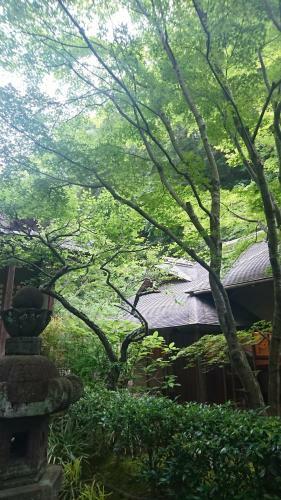 B&B Yuigahama