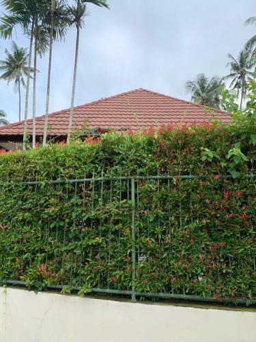 Hostal Senja?s Villa