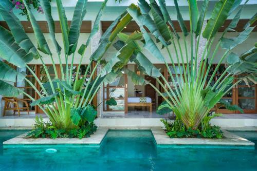 Bed & Breakfast Maha Lokha Balangan