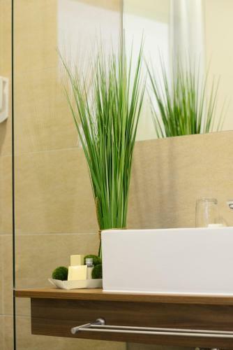 Zar-hotel Vitalis
