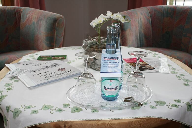 Hotel Pension Treenehof