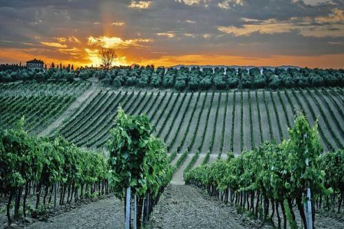 Apartamento Agri-tourism Spazzavento, Vinci